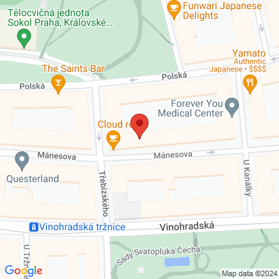 Google map: Mánesova 1379/61